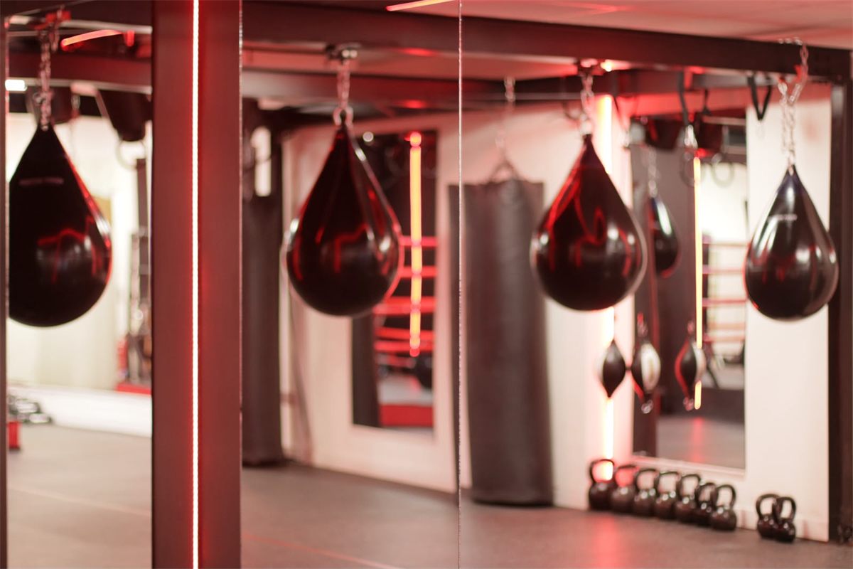 BoxFit at Alborz Fitness