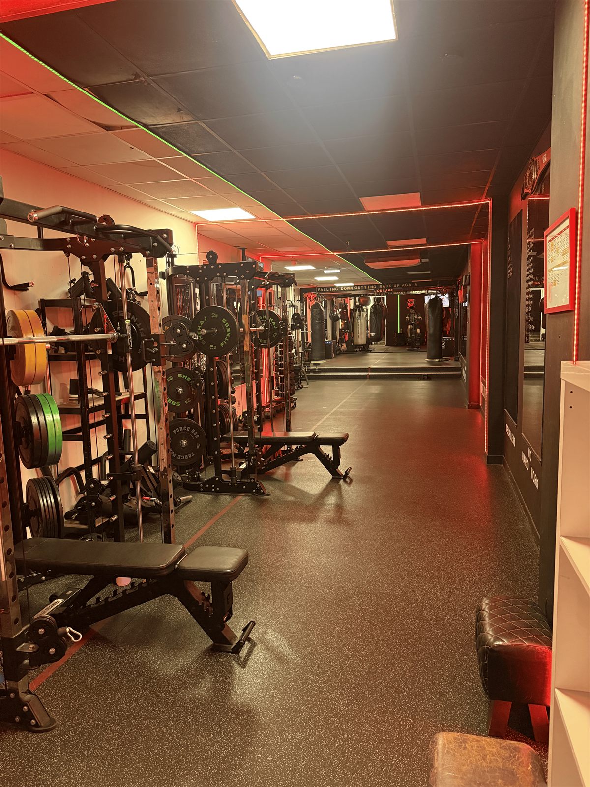 Strength at Alborz Fitness