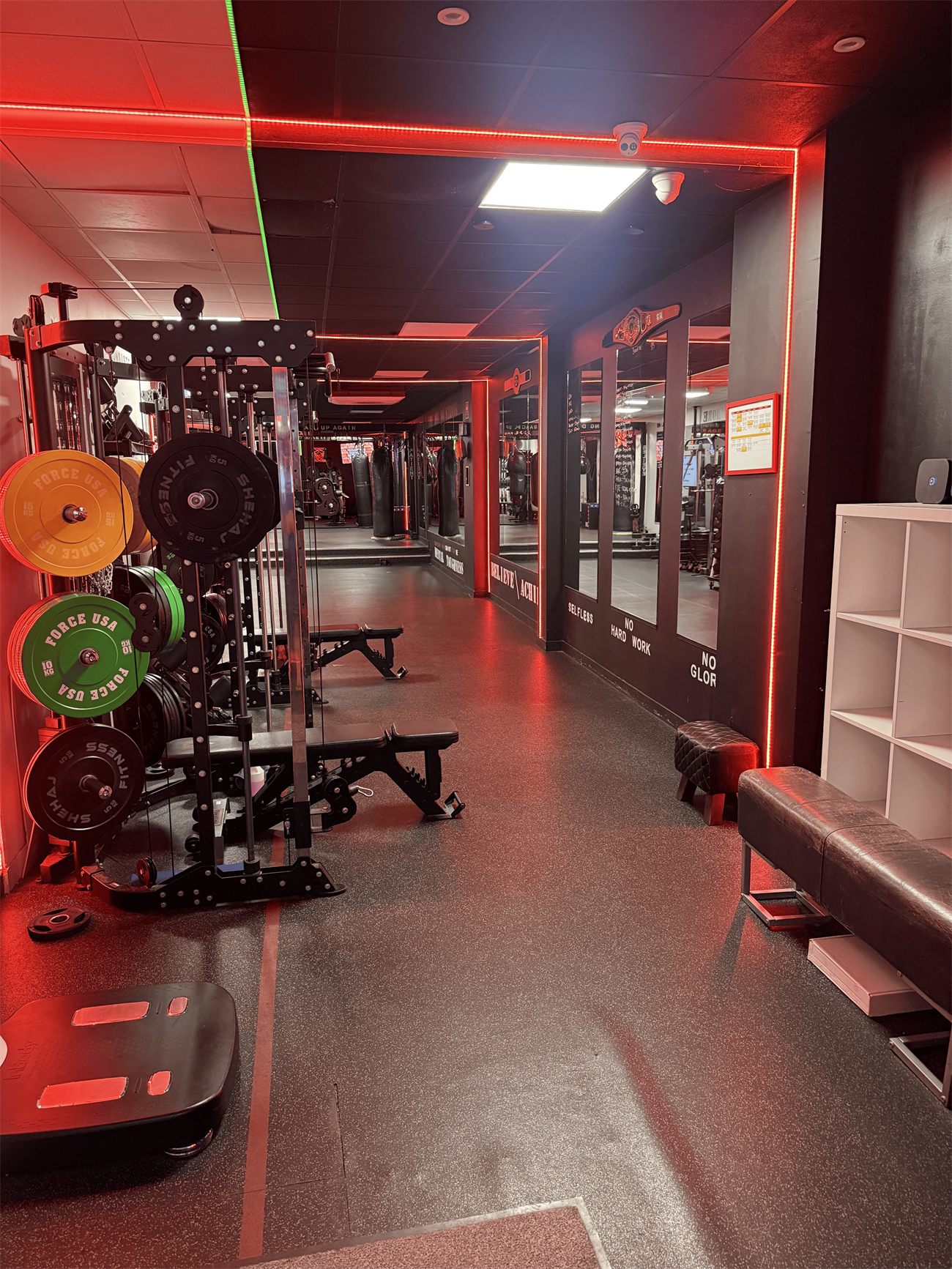 Inside the Alborz Fitness training floor