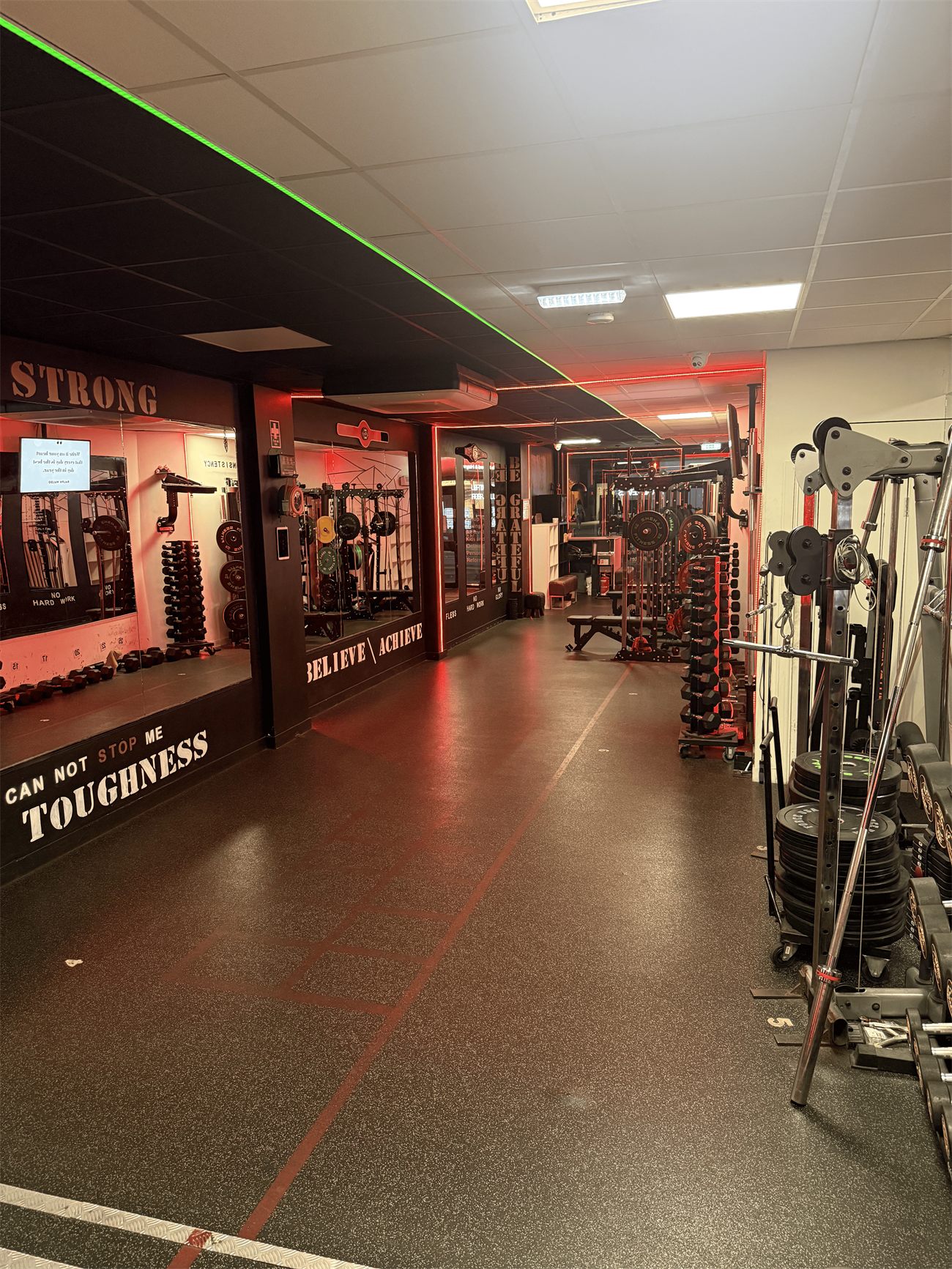 The strength and conditioning floor at Alborz Fitness